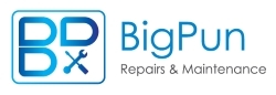 BigPun Logo